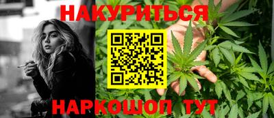 прущие грибы Краснознаменск